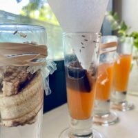 How To Get Rid Of Fruit Flies – The Best Homemade Traps