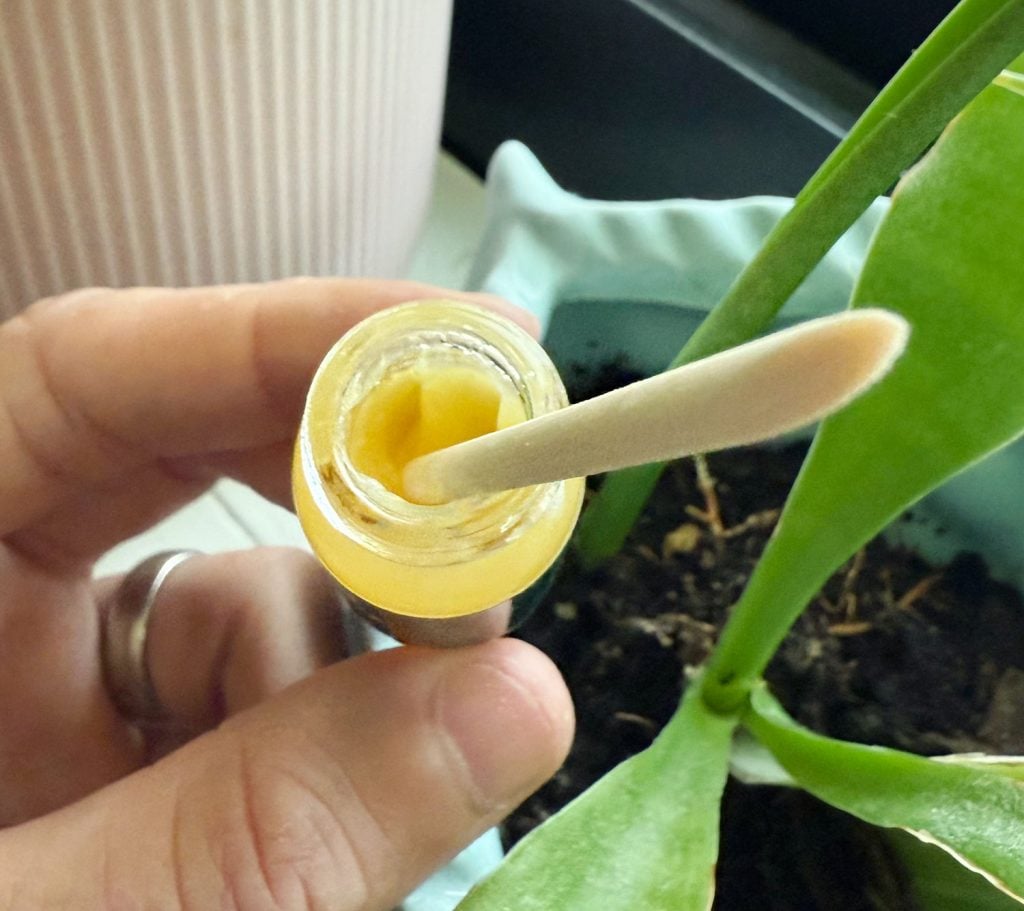 View inside small glass container of Crazy Keiki Cloning Paste