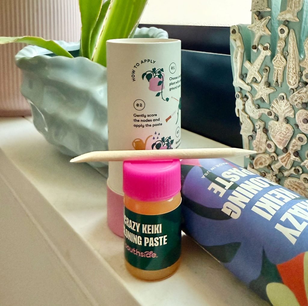 Contents of Keiki Paste Container With Paste Toothpick and Insturctions