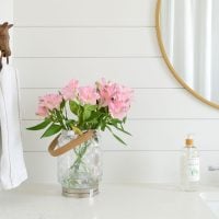 Sherwin Williams Extra White (SW 7006) Color Review