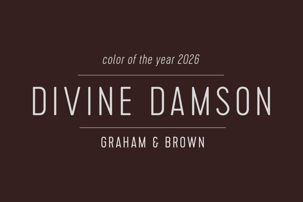 Graham and Brown Color of the Year 2026 Divine Damson Swatch