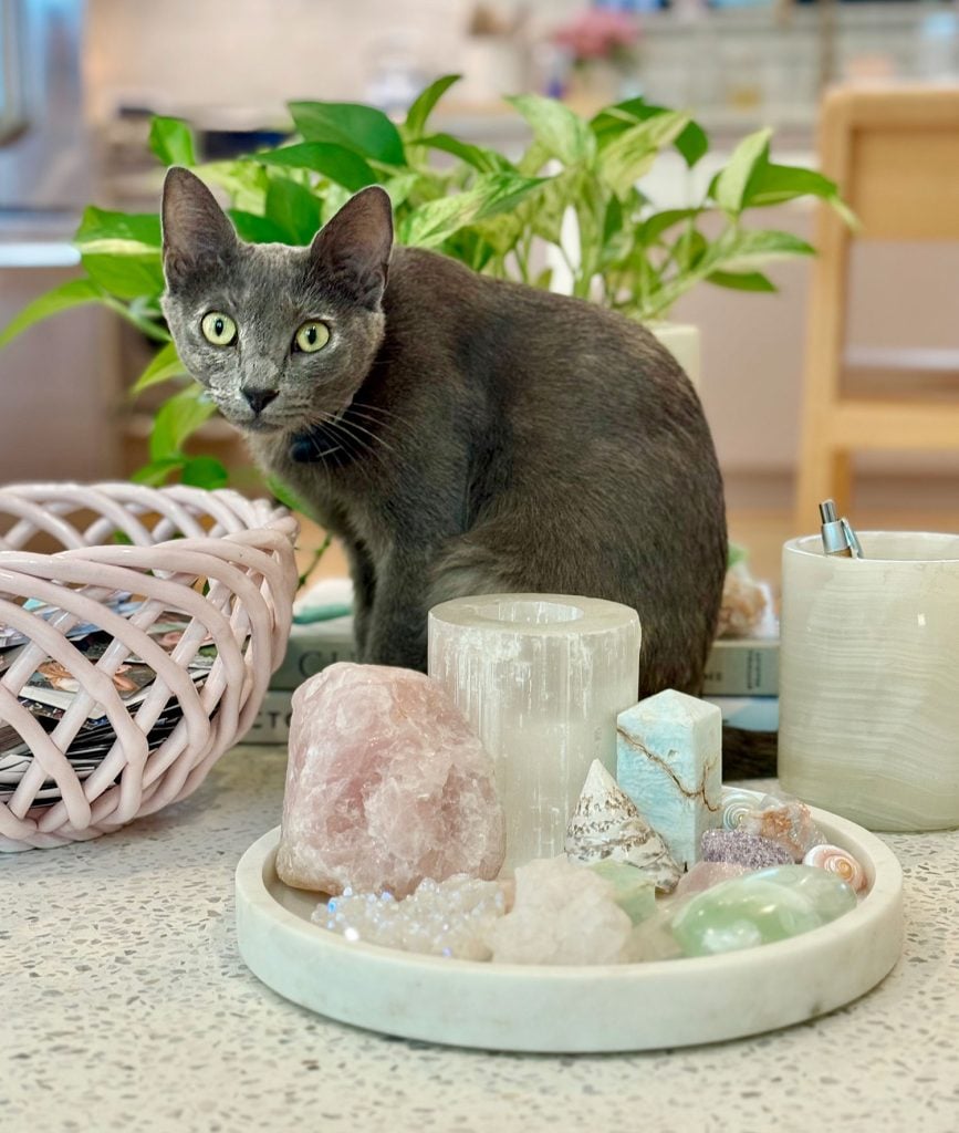 Gray Girl Cat Sitting On Table Near Crystals