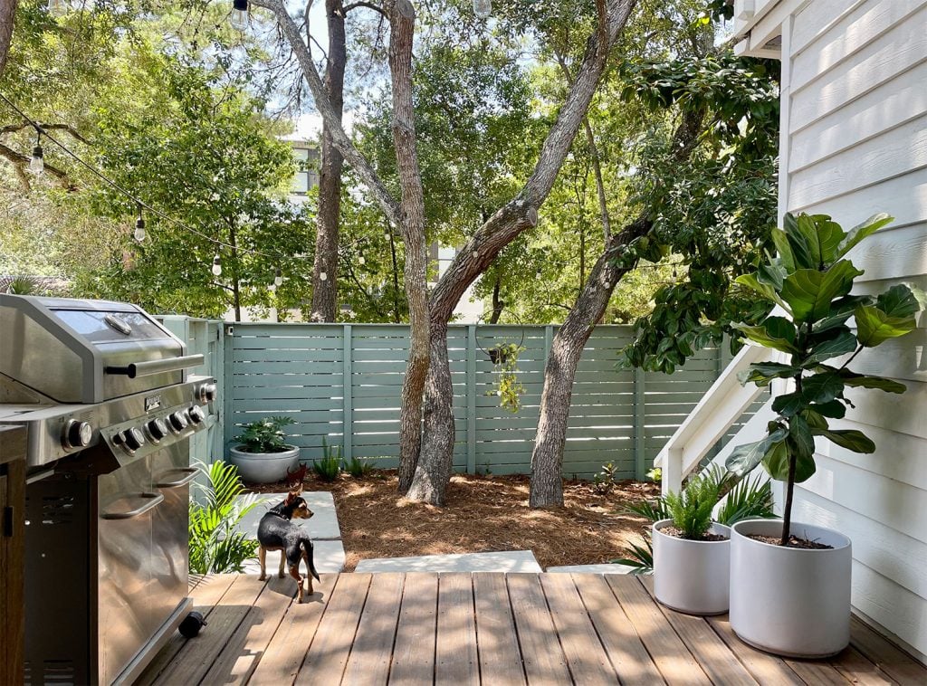 View From Kitchen Porch Into Side Yard With Dog On Trex