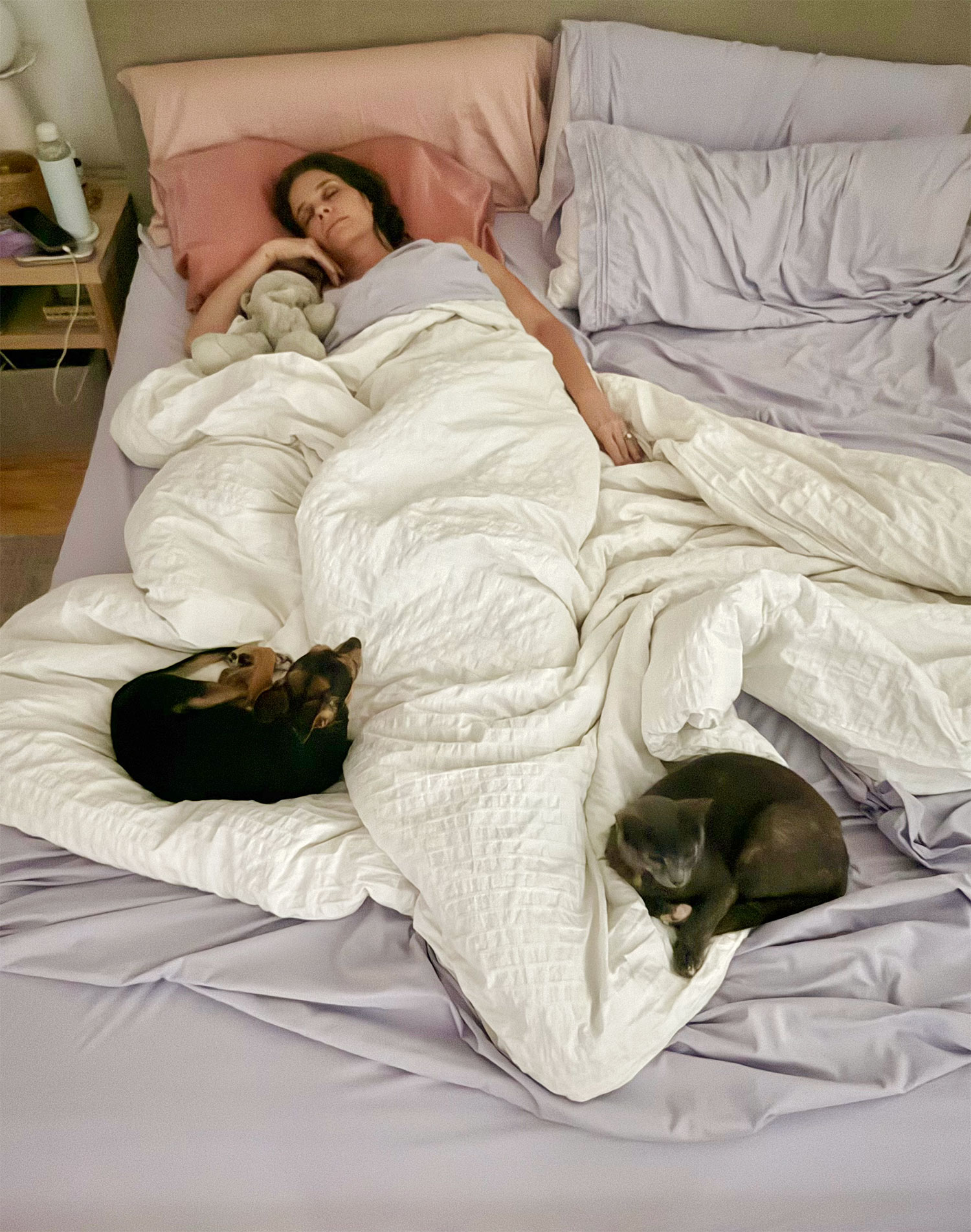 Sherry Sleeping In Bed With Dog and Cat At Her Feet