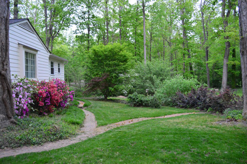 After Photo Of Backyard With Manicured Grassy Lawn